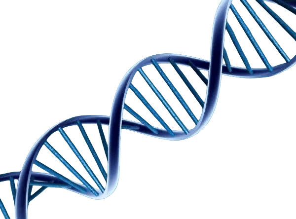 长沙供卵联系方式